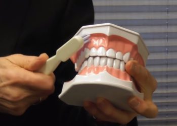 Can Regular Brushing Prevent Gum Disease Before It Starts?