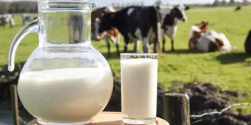 How to Prevent Gum Disease and Tooth Sensitivity Through Dietary Choices