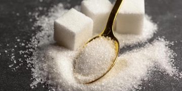 How Do Sugars and Acids Work Together to Cause Tooth Decay?