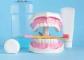Cavities in Adults: Why They Happen and How to Stop Them