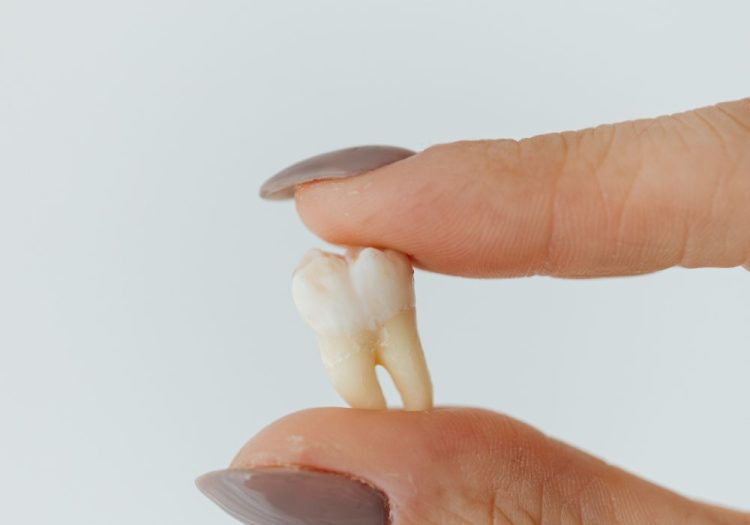 Are Your Dental Fillings Working With Your Body or Against It? The Rise of Biocompatible Dental Materials